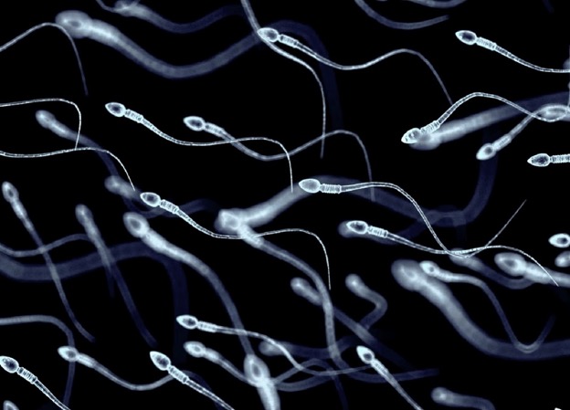 what-can-affect-sperm-quality